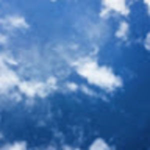 Meet your Posher, Mia